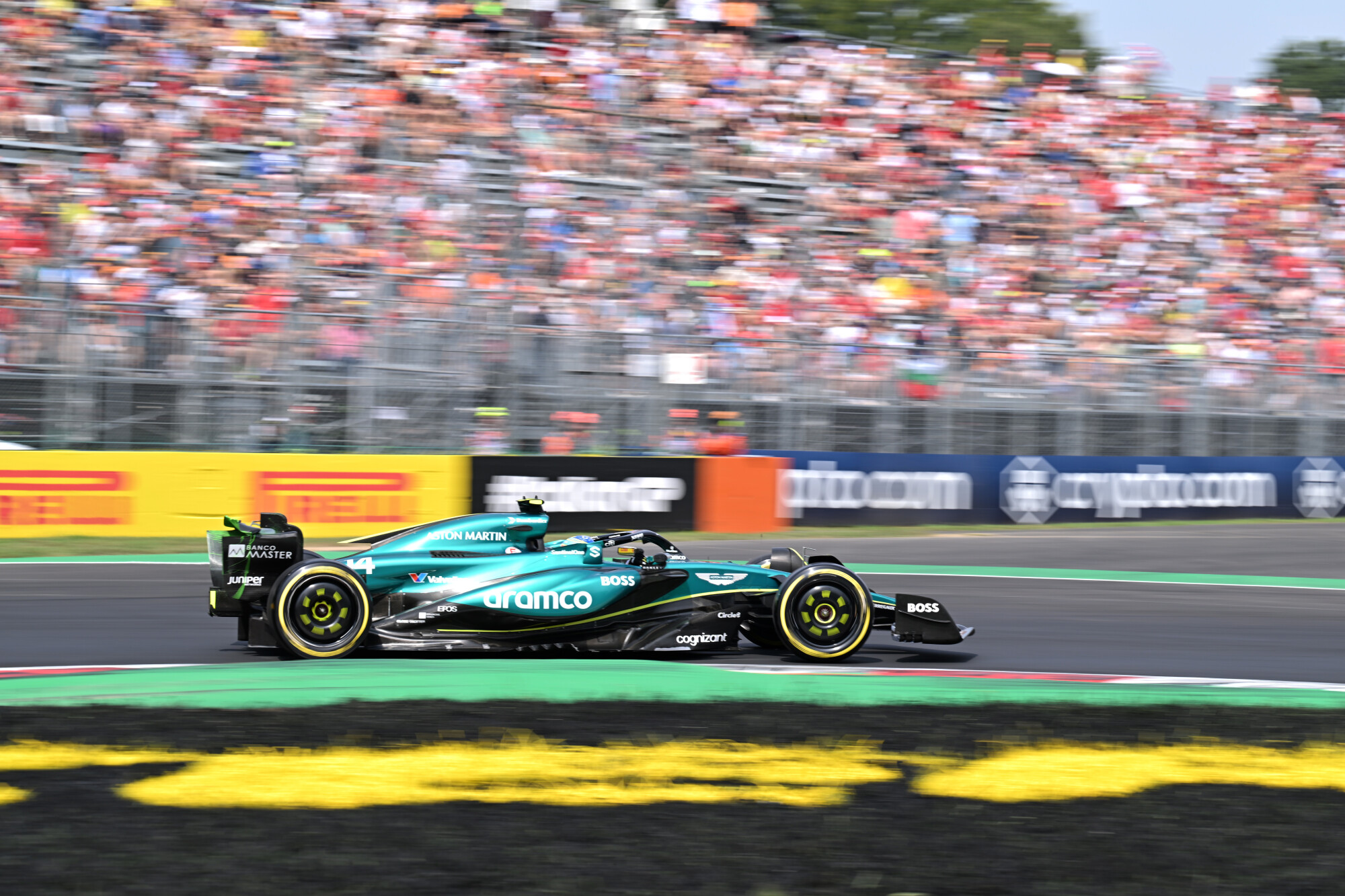 Alonso Monza 2024