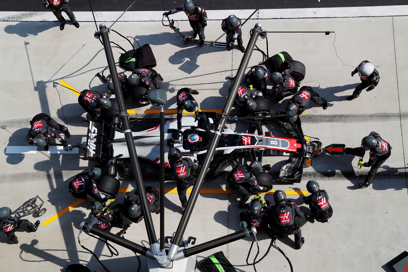 Haas